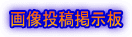 �摜���e�f����