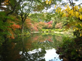 いい色づき☆ shukkeien-auturm_005