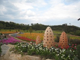 四季折々、世羅高原農園です。 flower_002