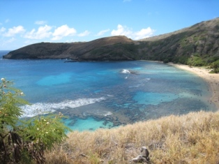 ハナウマ湾! hawaii_004