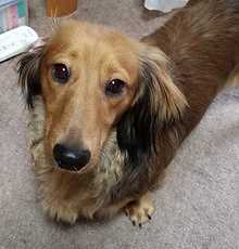 反省してないです