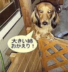 リクお帰りのポーズ