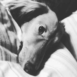 初めてのInstagram