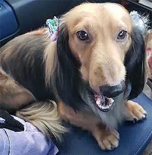 ハッピーバースディ