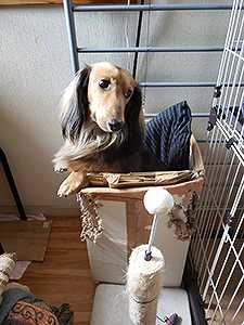 はまった・・・