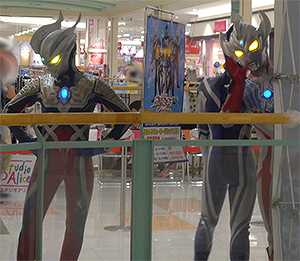 ひょっこりタイガ